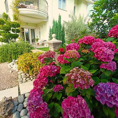 Alojamento de Acomodação e Pequeno-almoço Marzia